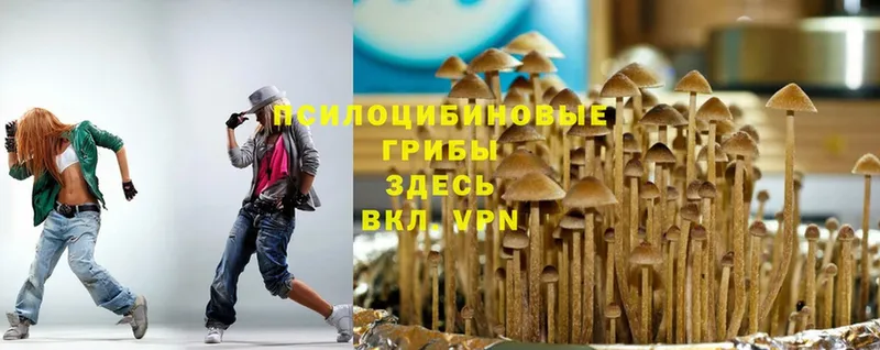 Галлюциногенные грибы мухоморы  Новая Ляля 